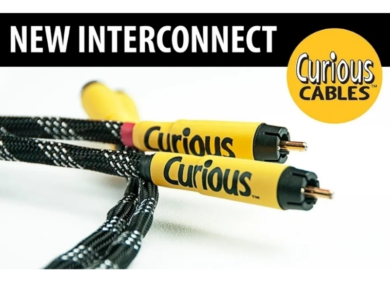 CURIOUS-RCA_01
