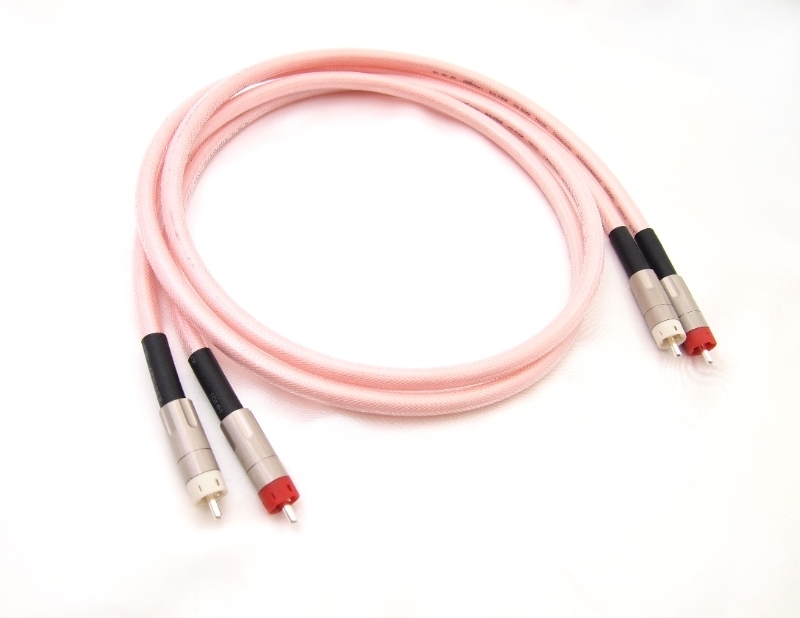 SSC-P02_01_std