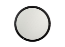ASP250 front std