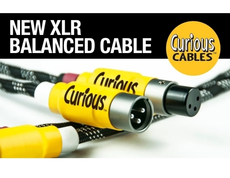 CURIOUS-XLR_01